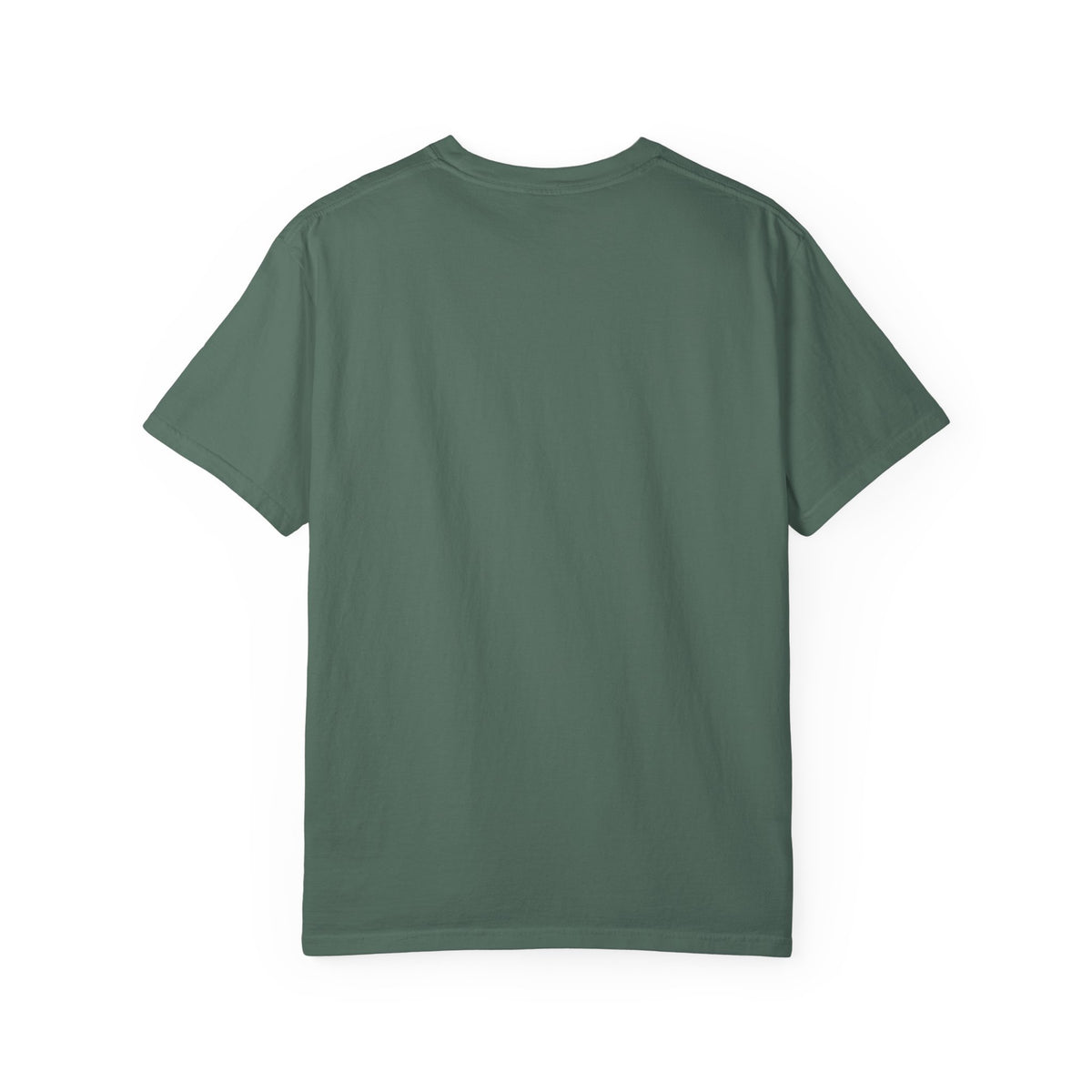 One Nation Many Stories Tee | 250th Anniversary T-Shirt